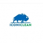 Iconiclean