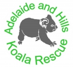 1300 Koalaz