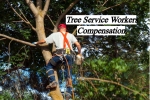 Tree Service Workers Compensation Insurance