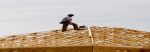 Guaranteed Seamless Gutter, Siding & Roofing