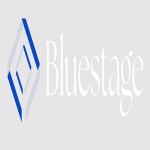 Bluestage Marketing Partners LLC