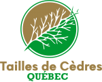 Tailles de Cèdres Québec