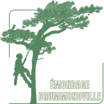 Émondage Drummondville