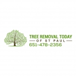 Tree Removal Today of St Paul