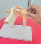 Dr Md Arif Ortho Spine and Joint Clinic