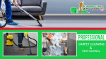 iCarpet Clean & Pest Control