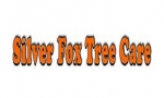 Silver Fox Tree Care