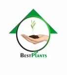 Best Landscaping Companies in Dubai Villa Garden