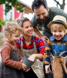 Health Insurance Experts LLC