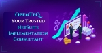 OpenTeQ NetSuite Implementation Consultant