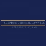 Surprise Criminal Lawyer