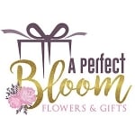 A Perfect Bloom Memphis