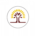 Best Grocery Shopping Delivery Kennesaw