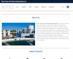 Top Control Valves Manufacturer in China