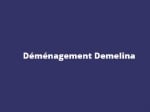 Déménagement Demelina