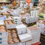 Kingly Farms - Wholesale Frozen chicken and beef in bulk