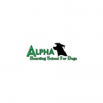 Alpha Boarding School For Dogs