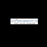Top Private Detective Agency in Delhi | City Intelligence
