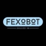 Fexobot - Your Ultimate Discord Bot Solution