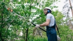 Oslo Tree Service - Professional Tree Care Services in Oslo