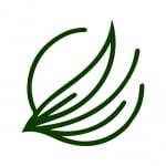 Artificial Grass Lubbock TX