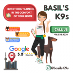 Basil's K9s