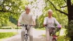 Total Joint Specialists - Gainesville