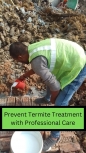 MM Pest Control - Rajasthan