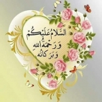 Fabby Web - Updated News