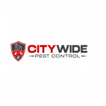 City Wide Bed Bug Control Adelaide