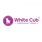 Ice cream brands in Pune