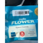 Mass Alternative Care