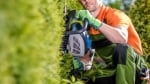 Nottingham Tree Surgeons Expert Tree Care for Residential