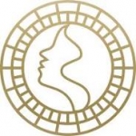 American Accelerated Aesthetics Plastic Surgery L.L.C