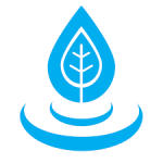 Ripple Chiropractic - Gold Coast Chiropractor