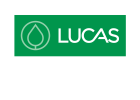 Lucas House and Garden | Premium Gardening Services