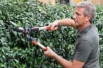 Stavanger Tree Service - Professional Hekktrimming