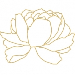 Ritual Massage and Bodywork