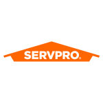 Servpro of Downtown Minneapolis Team Clemente