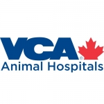 North Shore Animal Hospital