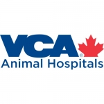 Mississauga Oakville Veterinary Emergency Hospital