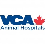 Landing Animal Hospital