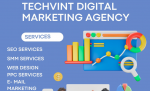 Techvint