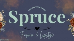 Spruce India - Organizing Your Jewellery
