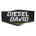 Diesel David Inc