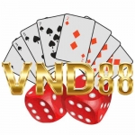 VND88