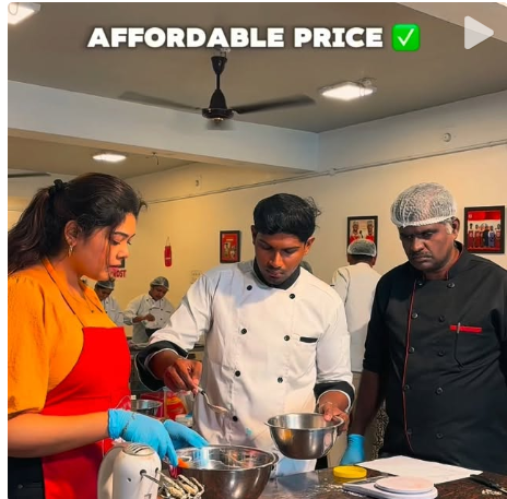 Insight Termite & Pest Solutions