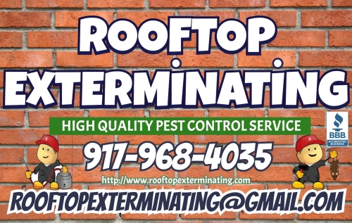 Bluebird Care Worcester & Wychavon