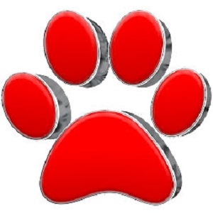 The Diaz Law Firm, P.A.