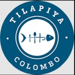 https://tilapiyacolombo.lk/